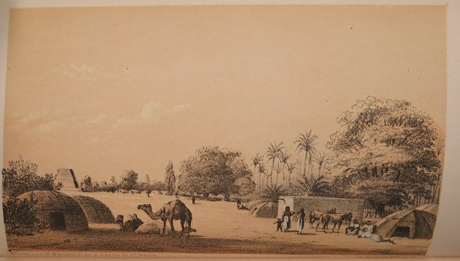 A plate from volume 5 of Heinrich Barth's Travels and discoveries in North and Central Africa (London, 1857-58)