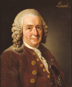 The work of Carl Linnaeus (1707-1778) inspired generations of scientists to explore the world.